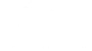 Nouvelle collection
